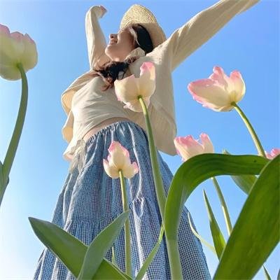 红日狂花第三季